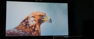 Using Paint Instead of a Projector Screen