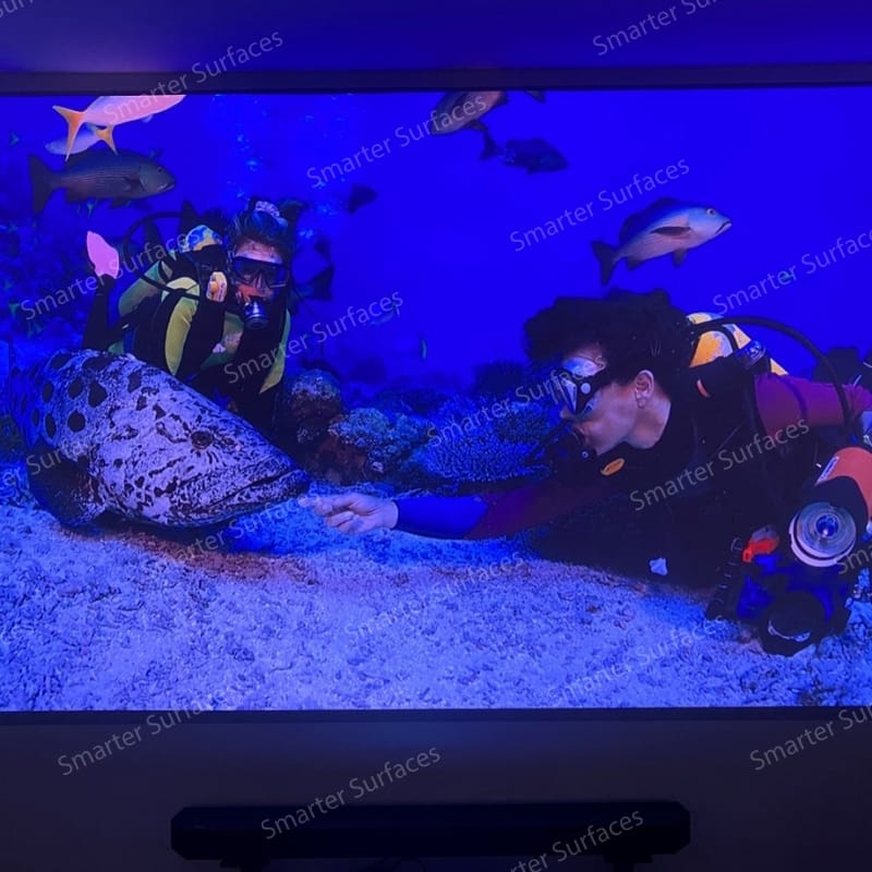 Aquarium visuals projected using Ambient Light Rejecting Projector Screen Paint