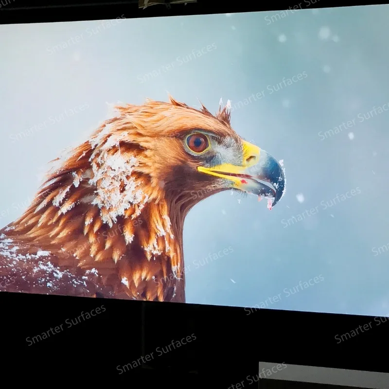 Close-up eagle projected using ALR Projector Screen Paint on a wall