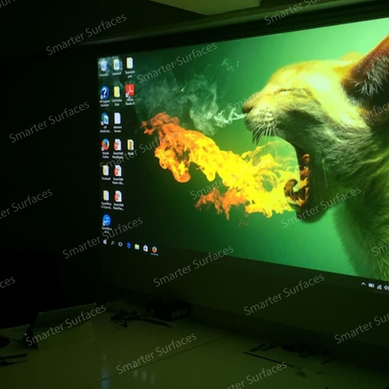 Bright green animal projection captured on Black Projector Screen Paint