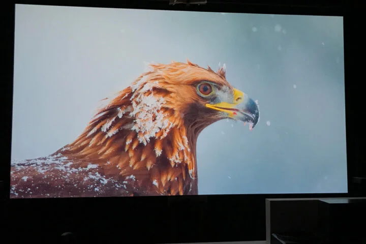 Higher image quality projected on ambient light rejecting paint