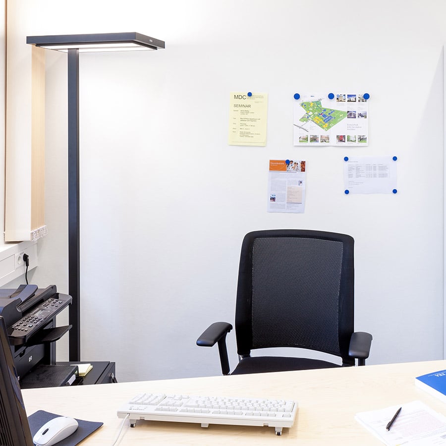 Magnetic paint wall in white office