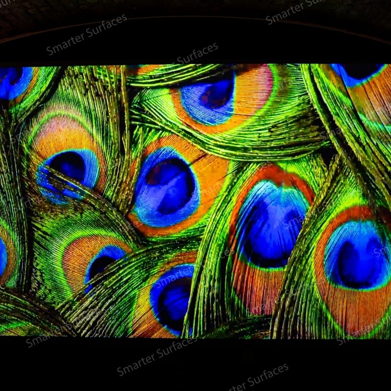 Abstract colorful projection displayed using Black Projector Screen Paint