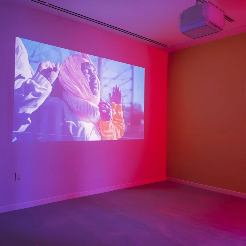 Art projected on a transparent projector screen with vivid colors